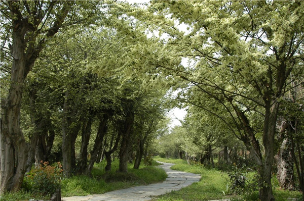 我市一企業(yè)連續(xù)23年獲評農(nóng)業(yè)產(chǎn)業(yè)化國家重點龍頭企業(yè) 將投資14億元打造綠色循環(huán)現(xiàn)代化農(nóng)業(yè)產(chǎn)業(yè)園