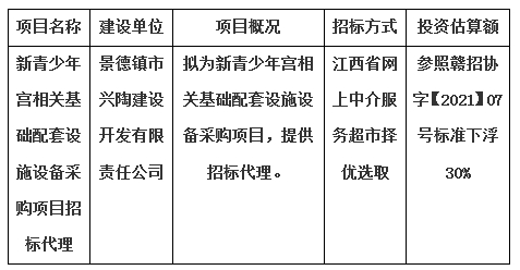 新青少年宮相關(guān)基礎(chǔ)配套設(shè)施設(shè)備采購項目招標(biāo)代理計劃公告