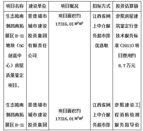 生態(tài)路南側(cè)昌南拓展區(qū)B-11地塊（5G創(chuàng)意中心）房屋質(zhì)量鑒定項目、生態(tài)路南側(cè)昌南拓展區(qū)B-11地塊（5G創(chuàng)意中心）消防安全評估項目計劃公告
